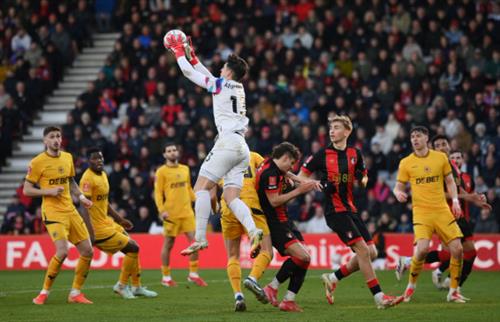 AFC Bournemouth contre les loups