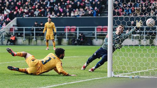 Bristol City contre les loups