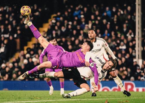 Fulham contre les loups