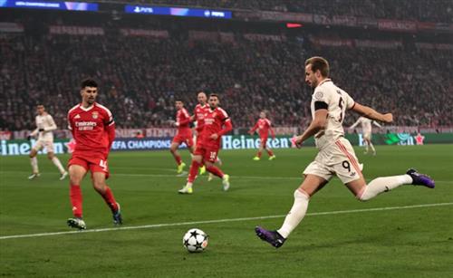 Bayern Munich contre Benfica