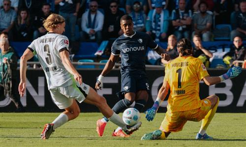 bochum vfl wolfsbourg