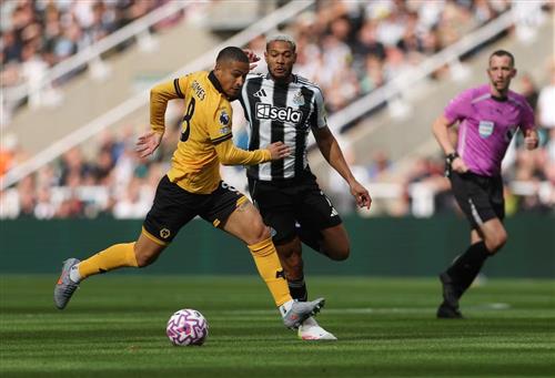 Newcastle United contre les loups