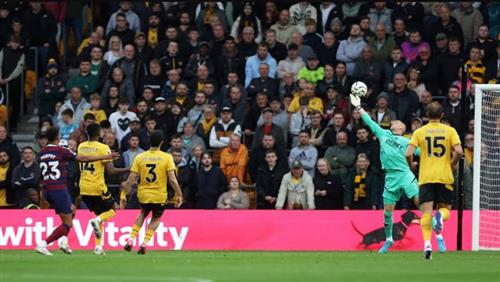 Loups contre Newcastle United