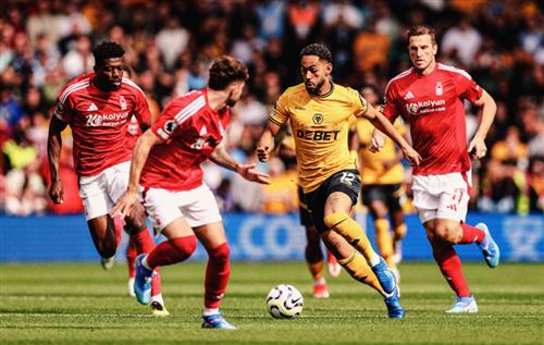 Forêt de Nottingham contre loups