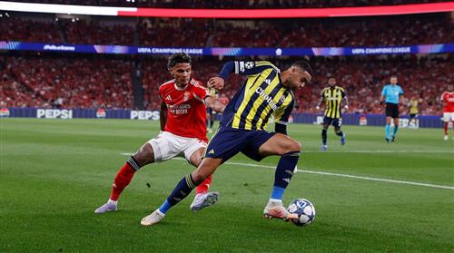 Benfica contre Fenerbahçe