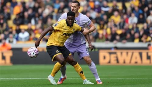 Loups contre Brighton