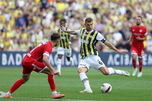 Nord-Zélande vs Fenerbahçe