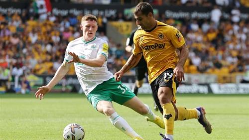 Newcastle contre les loups