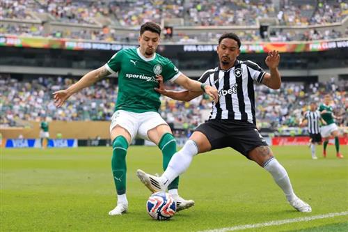 Palmeiras contre RJ Botafogo