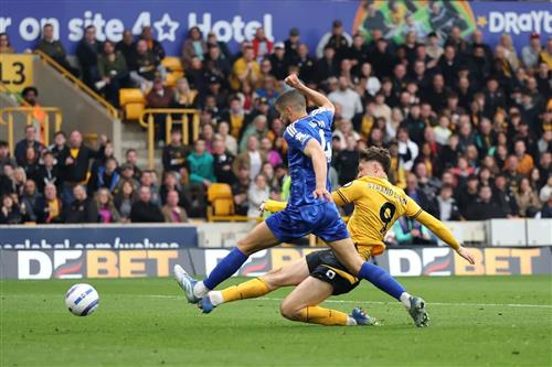 Loups contre Leicester City