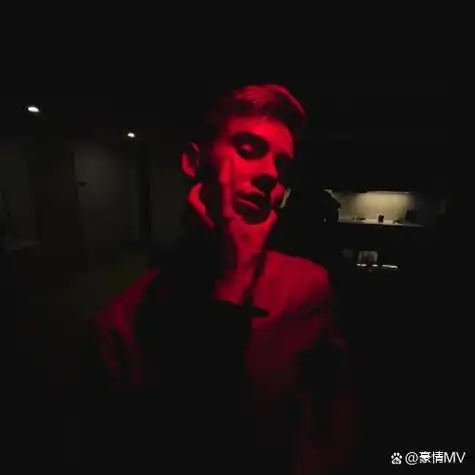 6686体育铜牌作者Hayden