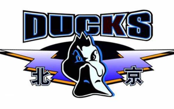 Personne des médias : Les sites de l'équipe masculine de basket-ball de Pékin pour la nouvelle saison sont déterminés à être la Shougang Ice Arena et le Wukesong Gymnasium.